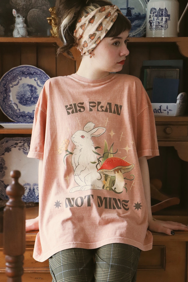 His Plan, Not Mine Baggy Tee