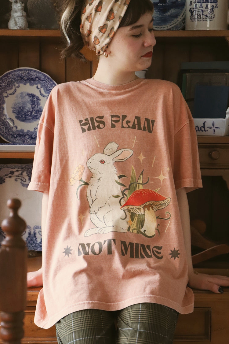His Plan, Not Mine Baggy Tee